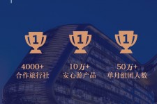 阳春上海私人伴游 ​ “小而美”的新时代：2020年国内新跟团消费报告