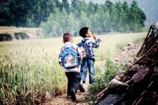阳春河南一家四口结伴游中国2个月(河南适合一家四口旅游的地方)