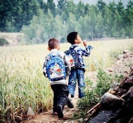 阳春河南一家四口结伴游中国2个月(河南适合一家四口旅游的地方)
