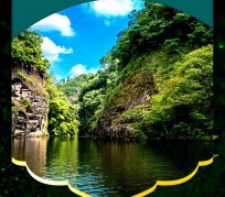 阳春旅游报价(旅行团旅游报价)