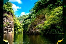 阳春旅游报价(旅行团旅游报价)