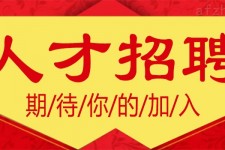 阳春上海伴游招聘 招聘 | 浦东机场专柜销售