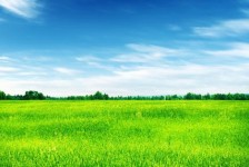 阳春上海伴游 上海模特伴游微信号的交友宣言