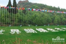 阳春昆明旅游攻略(昆明旅游攻略景点大全抚仙湖)
