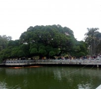 阳春福州旅游攻略(福州旅游攻略二日游)