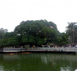 阳春福州旅游攻略(福州旅游攻略二日游)