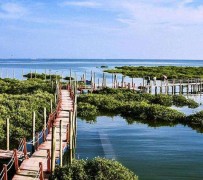 阳春旅游哪里好玩(云南旅游哪里好玩)