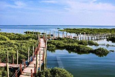阳春旅游哪里好玩(云南旅游哪里好玩)