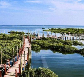 阳春旅游哪里好玩(云南旅游哪里好玩)