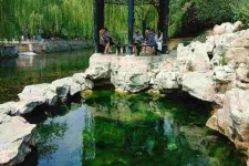 阳春济南旅游攻略(青岛威海济南旅游攻略)