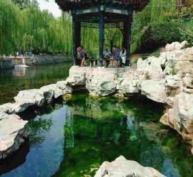阳春济南旅游攻略(青岛威海济南旅游攻略)
