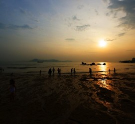 阳春厦门旅游攻略(厦门旅游攻略自由行最佳线路6天)