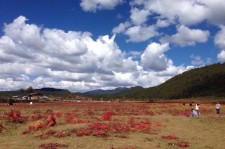 阳春旅游去处(暑期最好的旅游去处)