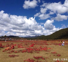 阳春旅游去处(暑期最好的旅游去处)
