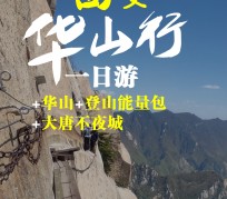 阳春一日游(一日游需要准备些什么东西?)