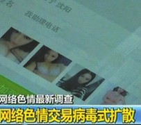 阳春上海伴游 伴游女郎白天陪玩晚上陪睡 网络跑火日薪过万(图)