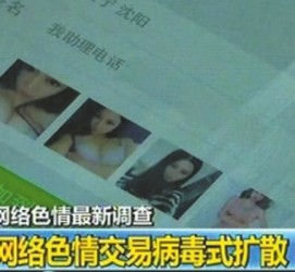 阳春上海伴游 伴游女郎白天陪玩晚上陪睡 网络跑火日薪过万(图)