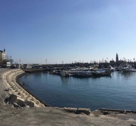 阳春大连旅游攻略(大连旅游攻略自由行)