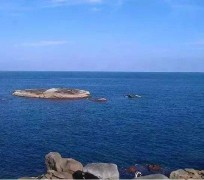 阳春短途游(短途游玩的说说)