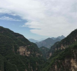 阳春伴游中国伴游城(伴游网上海)