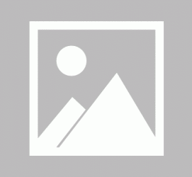阳春私人伴游 黄金周里动“黄”经 天津又现“私人陪游”逆流