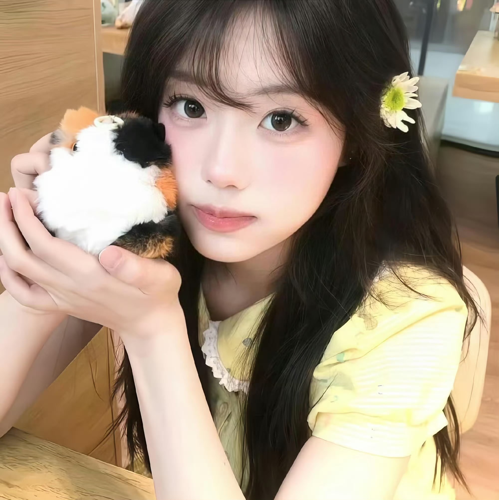 阳春伴游女生 | 廖海菡的资料