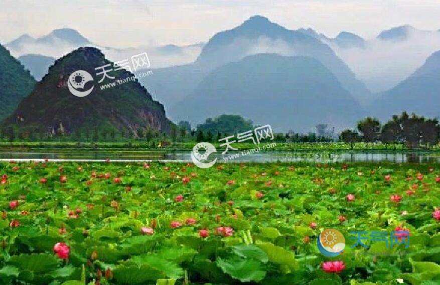 旅游哪里好玩(云南旅游哪里好玩)