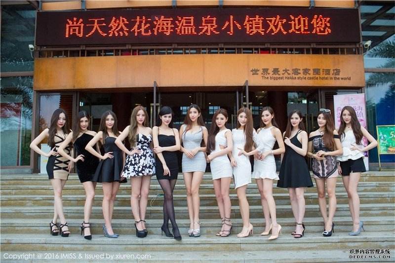 伴游中国vip(支持全国伴游)